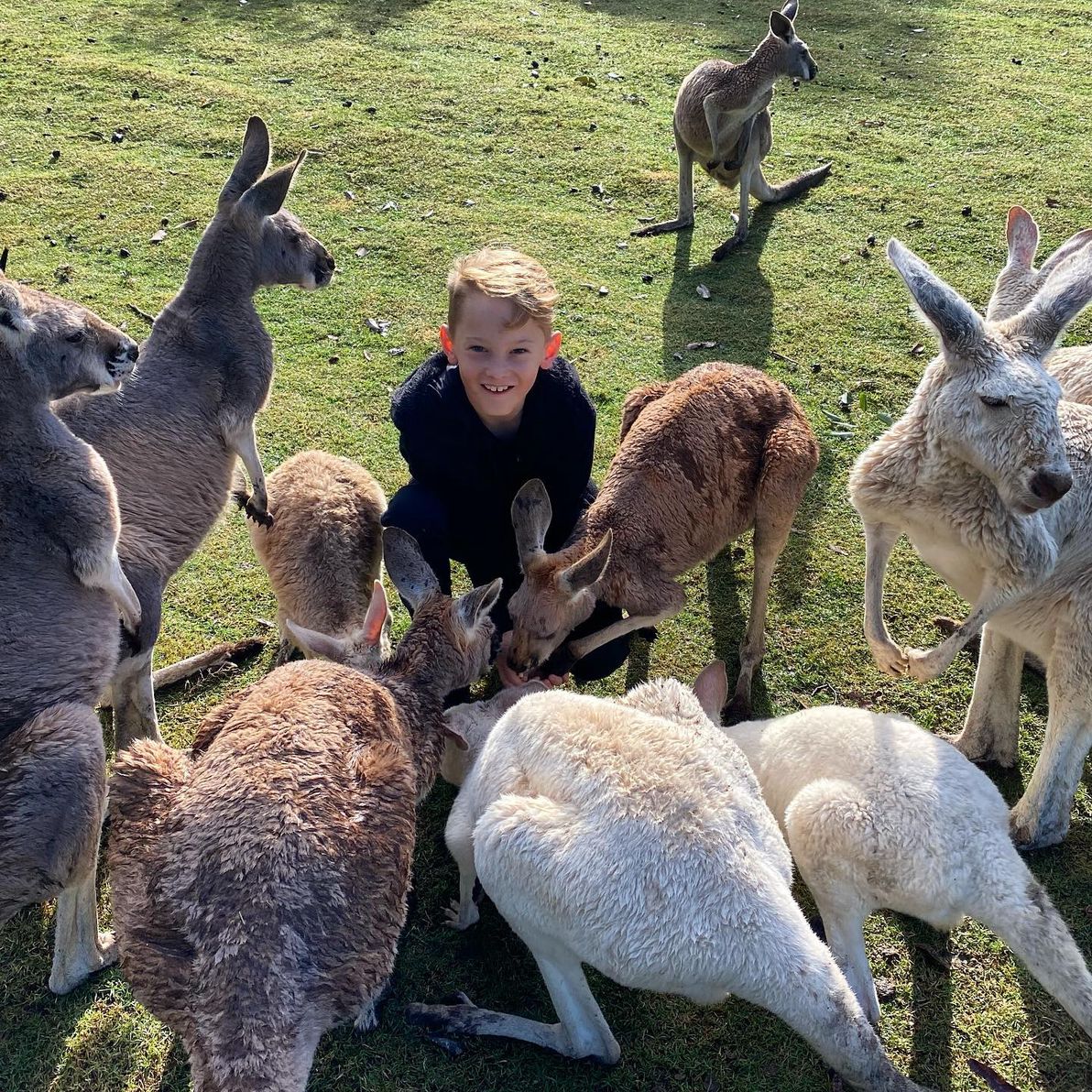 Caversham Wildlife Park