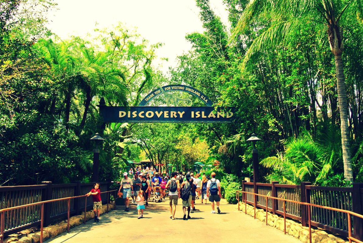 Discovery Island