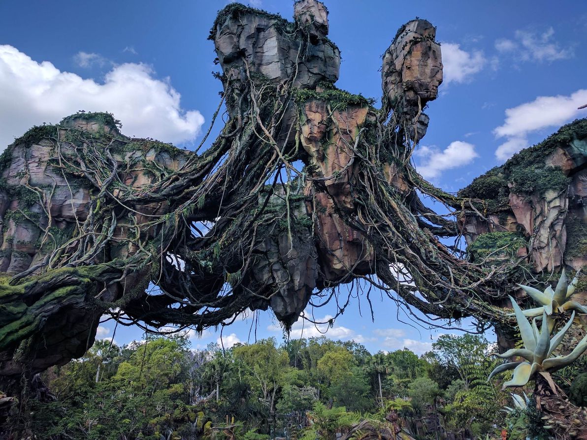 Avatar Flight of Passage