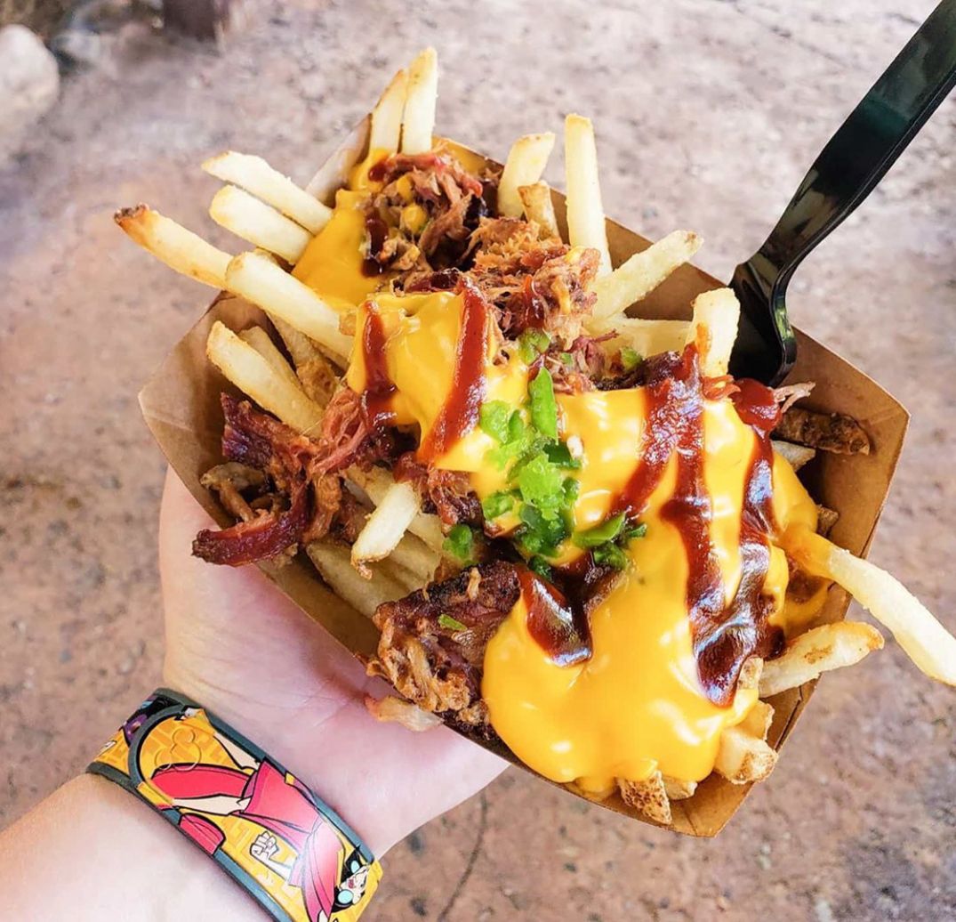 Pulled Pork and Cheese Fries