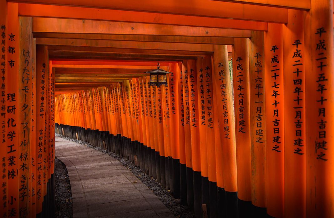 TORII GATEs