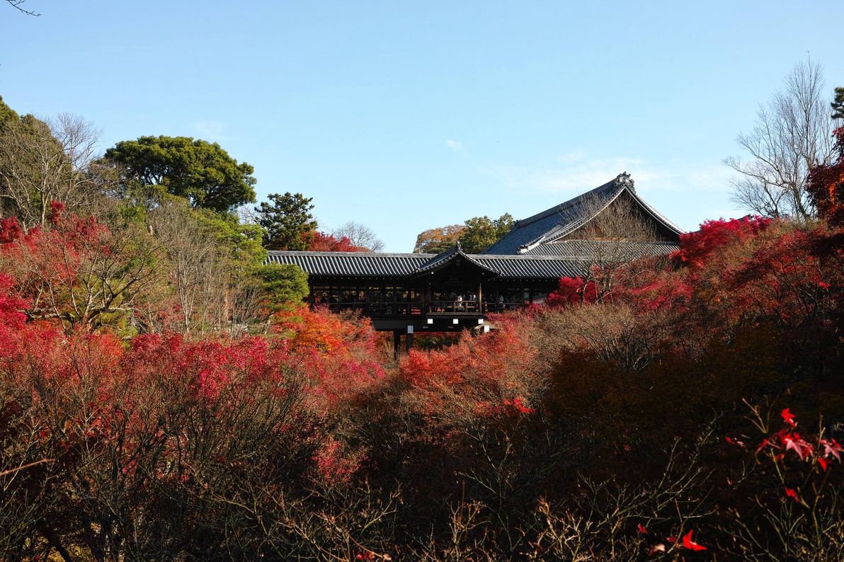 tofukuji temple 