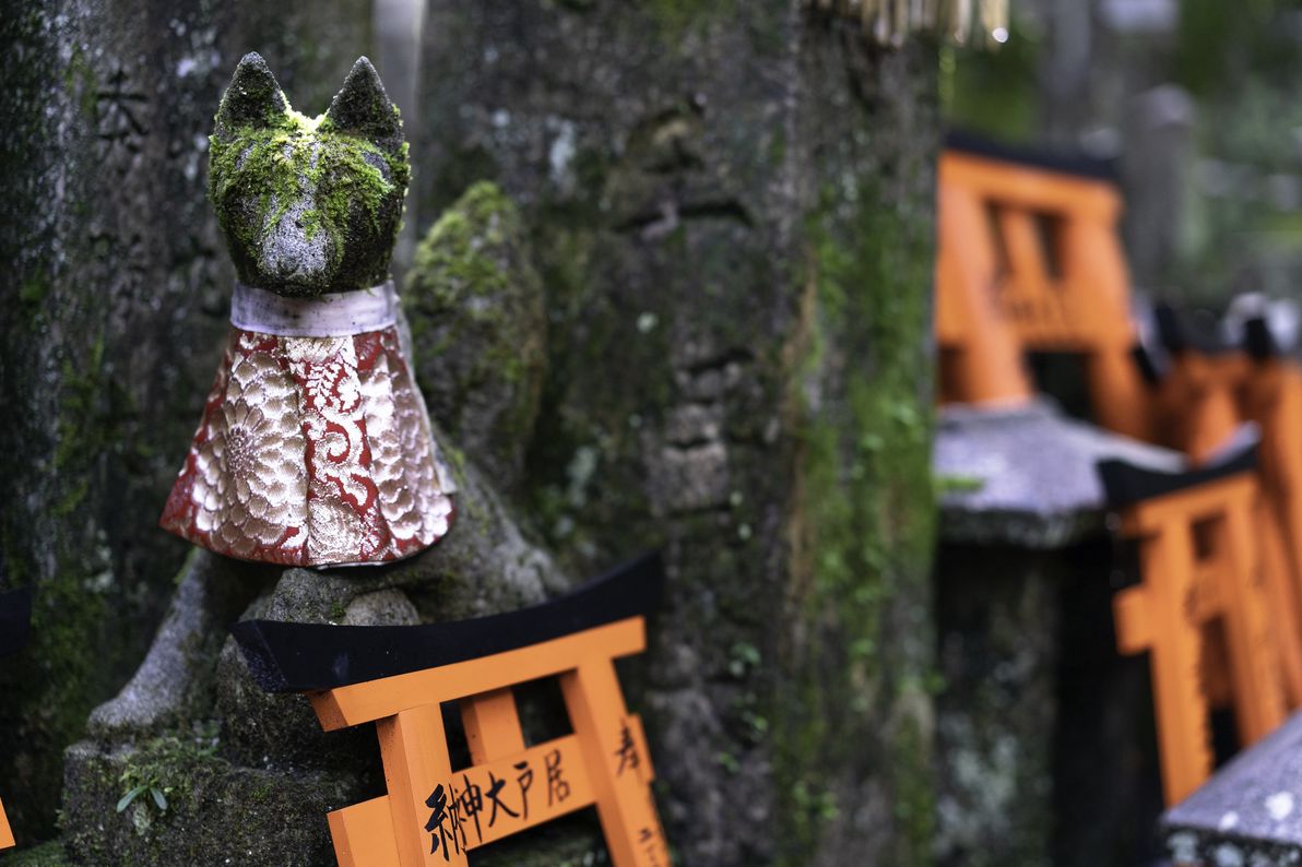 inari shrine 