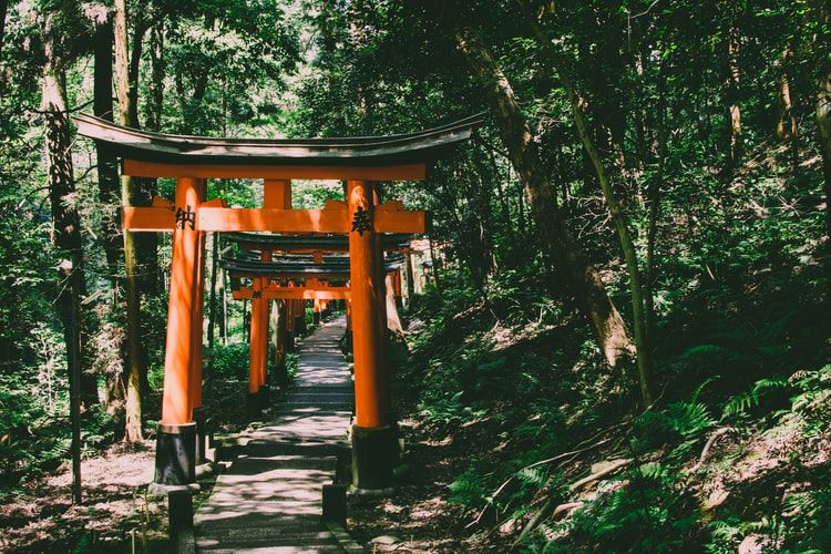 inari 