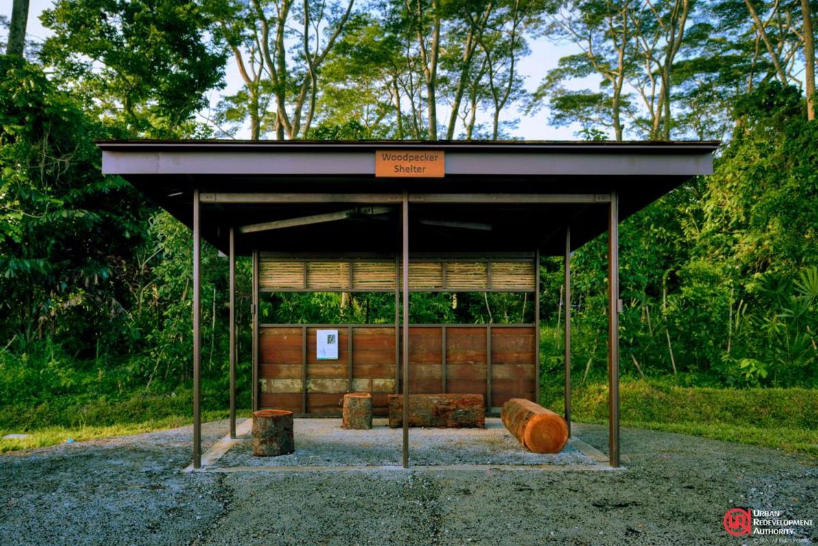Woodpecker Shelter