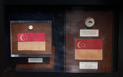 Moon Rock Samples