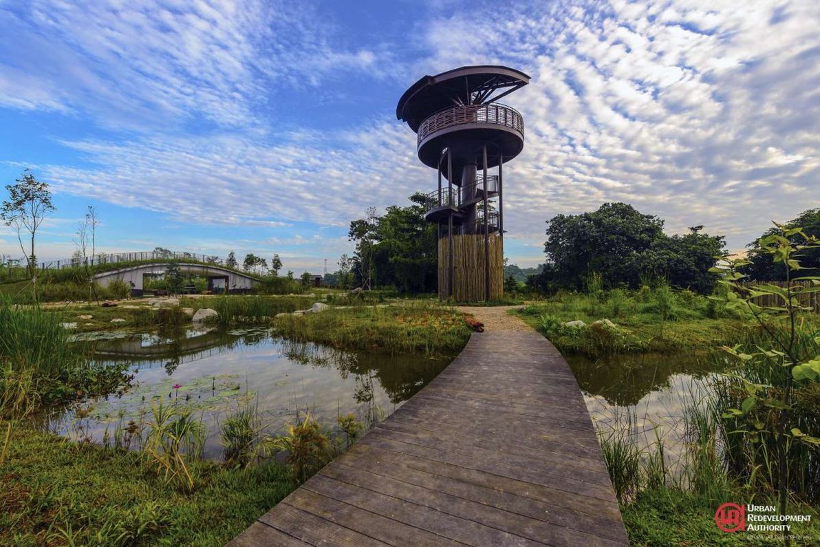 Raptor Tower