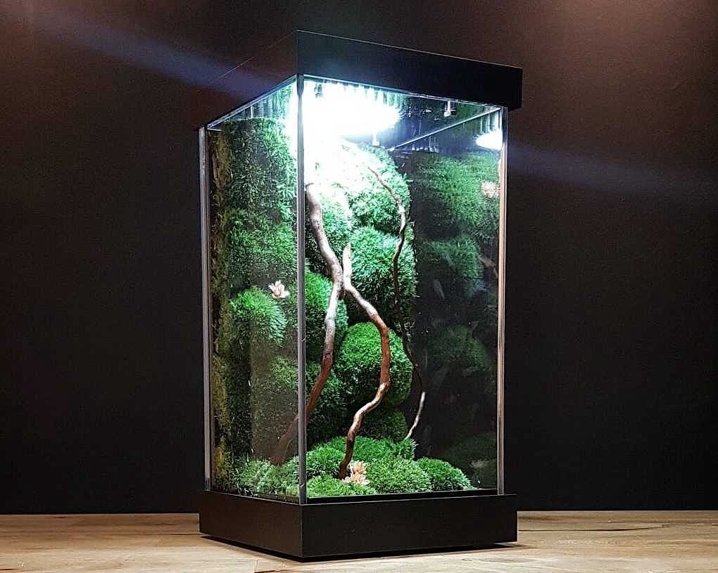 preserved moss terrarium workshop