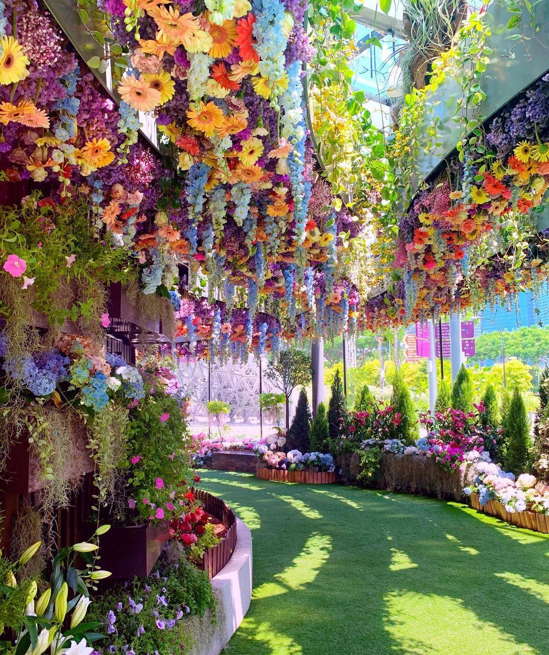 Discover 160+ tomato growing bags upside down latest esthdonghoadian